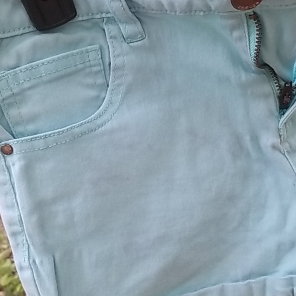 Shorts - Picture 4 of 4
